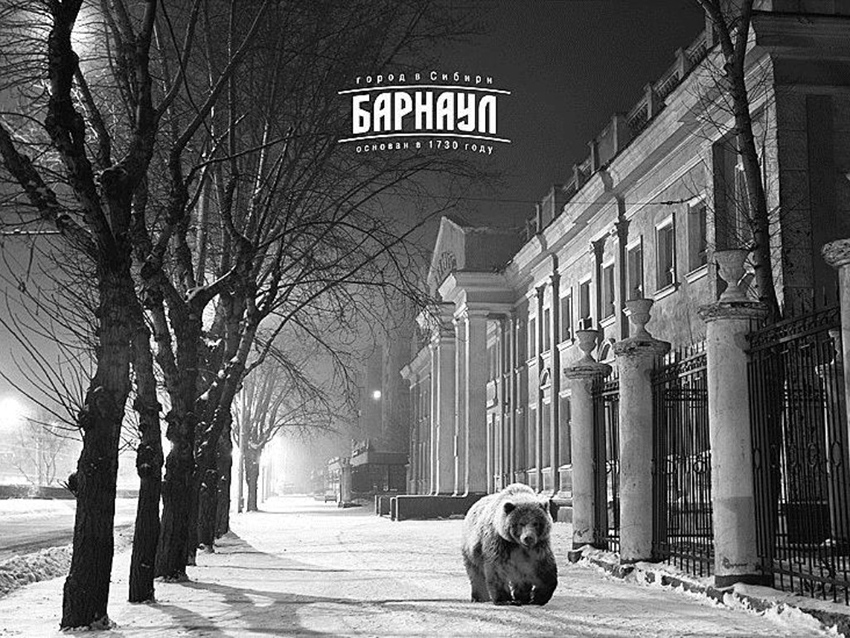 О добром духе медведя – хранителе Барнаула
