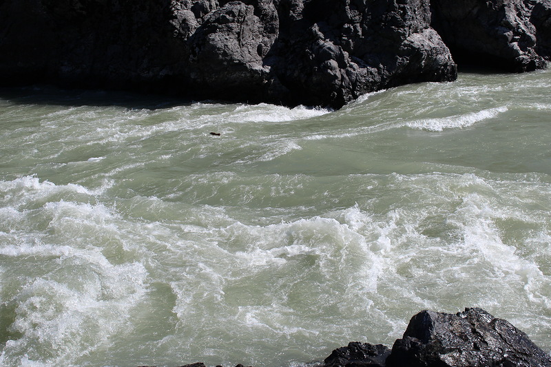 Река Катунь – хозяйка алтайских гор