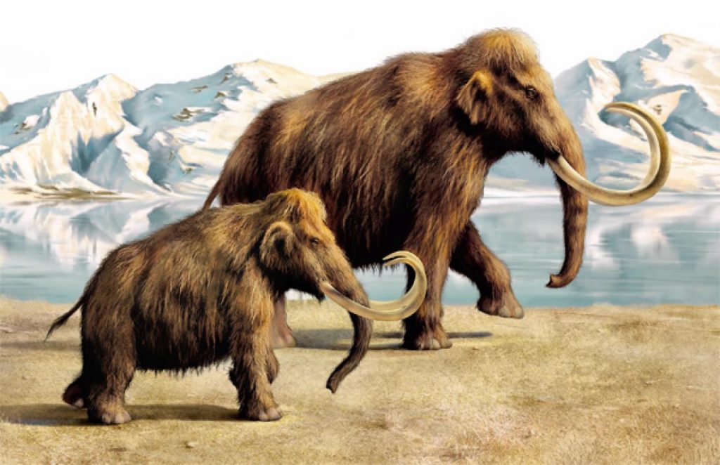 Доисторические животные Сибири