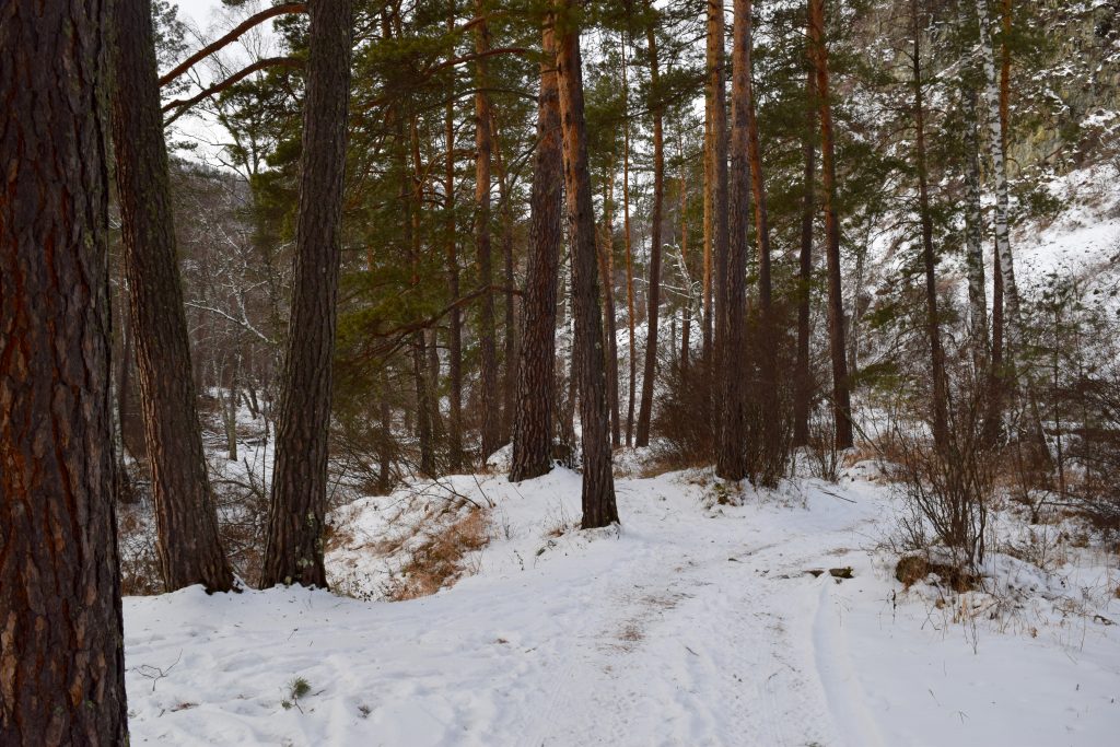 Зимняя прогулка к Камышлинскому водопаду