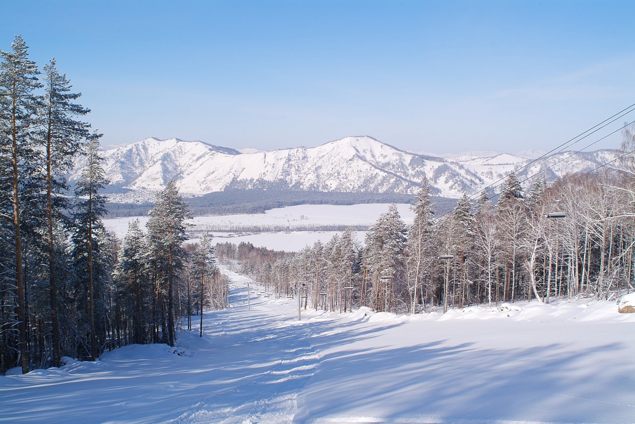 Манжерок глк фото